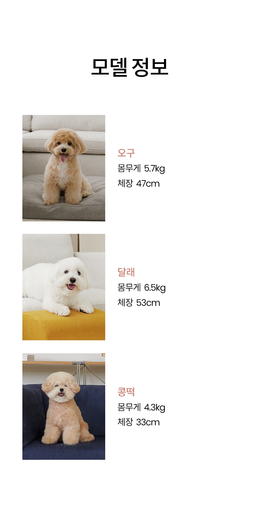 [무료배송] 리카리카 커브형 논슬립 계단 크림/머스터드/그레이 20번째