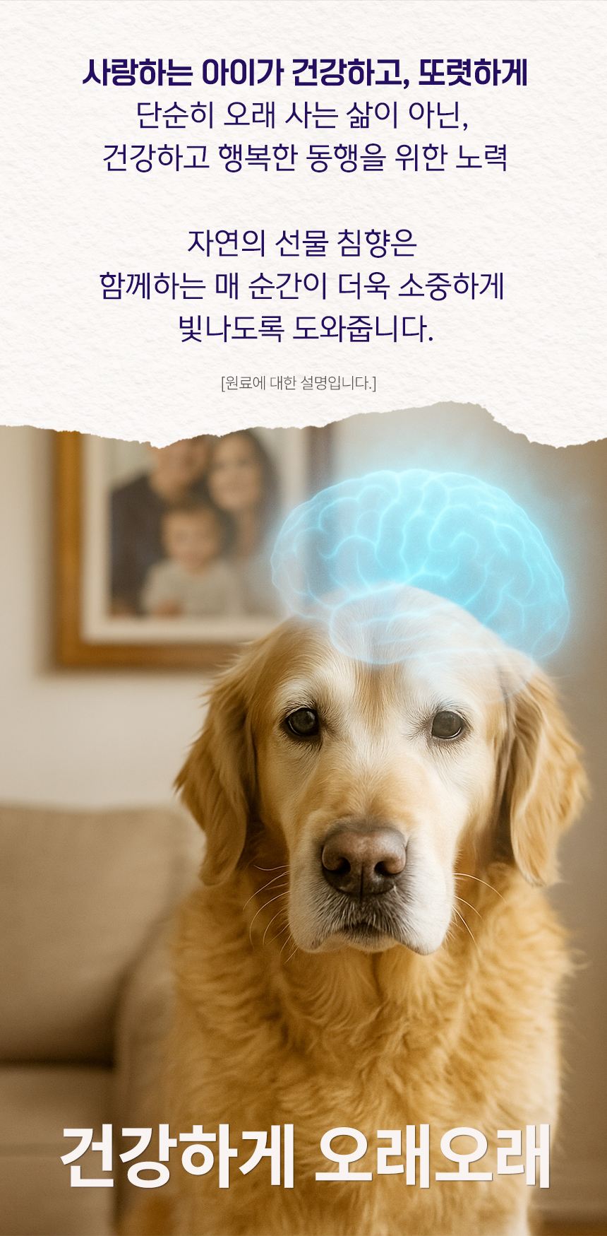 [NEW신상][무료배송] 댕이수랏간 침향 멀티올케어 100g 20번째