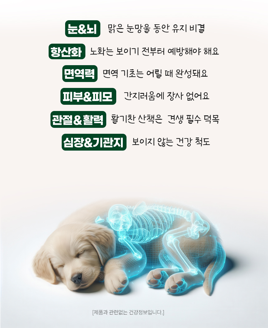 [NEW신상][무료배송] 댕이수랏간 침향 멀티올케어 100g 9번째