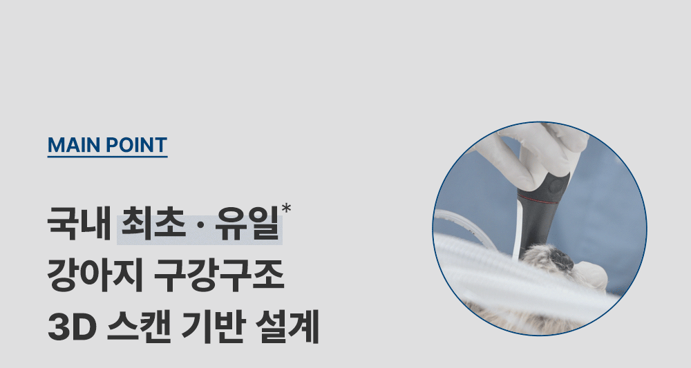 조공 덴탈껌 딥브러쉬 10g*14ea 4번째