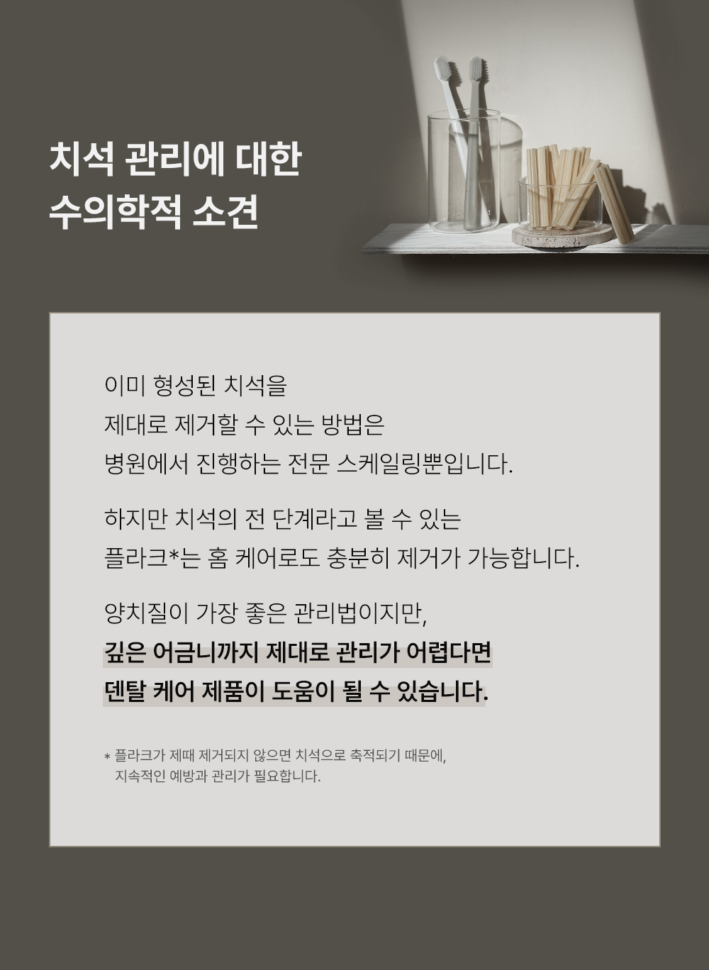 조공 덴탈껌 딥브러쉬 10g*14ea 24번째