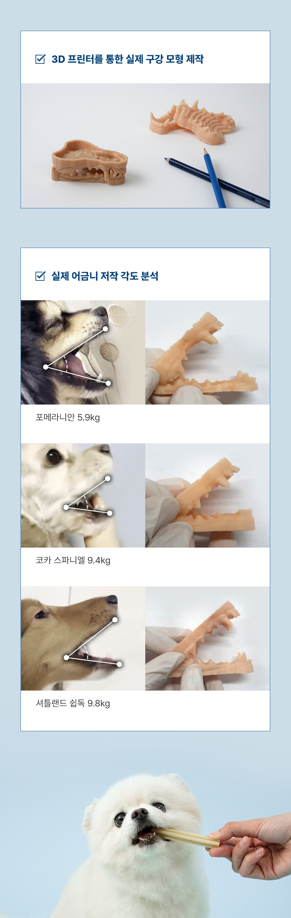 조공 덴탈껌 딥브러쉬 10g*14ea 16번째