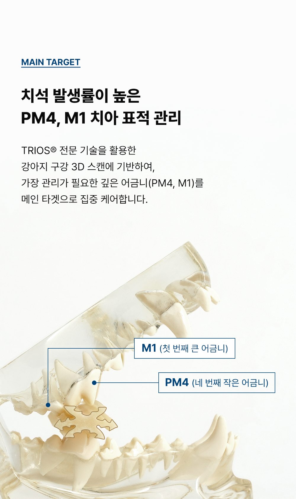 조공 덴탈껌 딥브러쉬 10g*14ea 6번째
