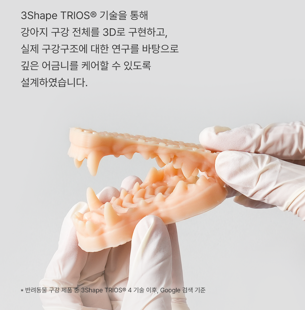 조공 덴탈껌 딥브러쉬 10g*14ea 5번째