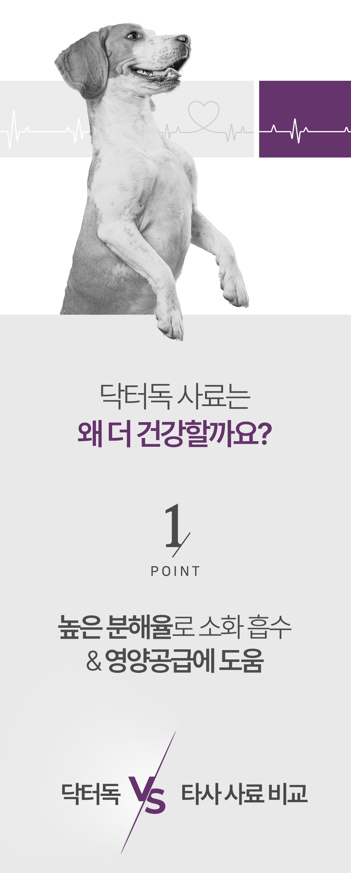 [사료샘플] 닥터독 시니어 사료 250g 7번째