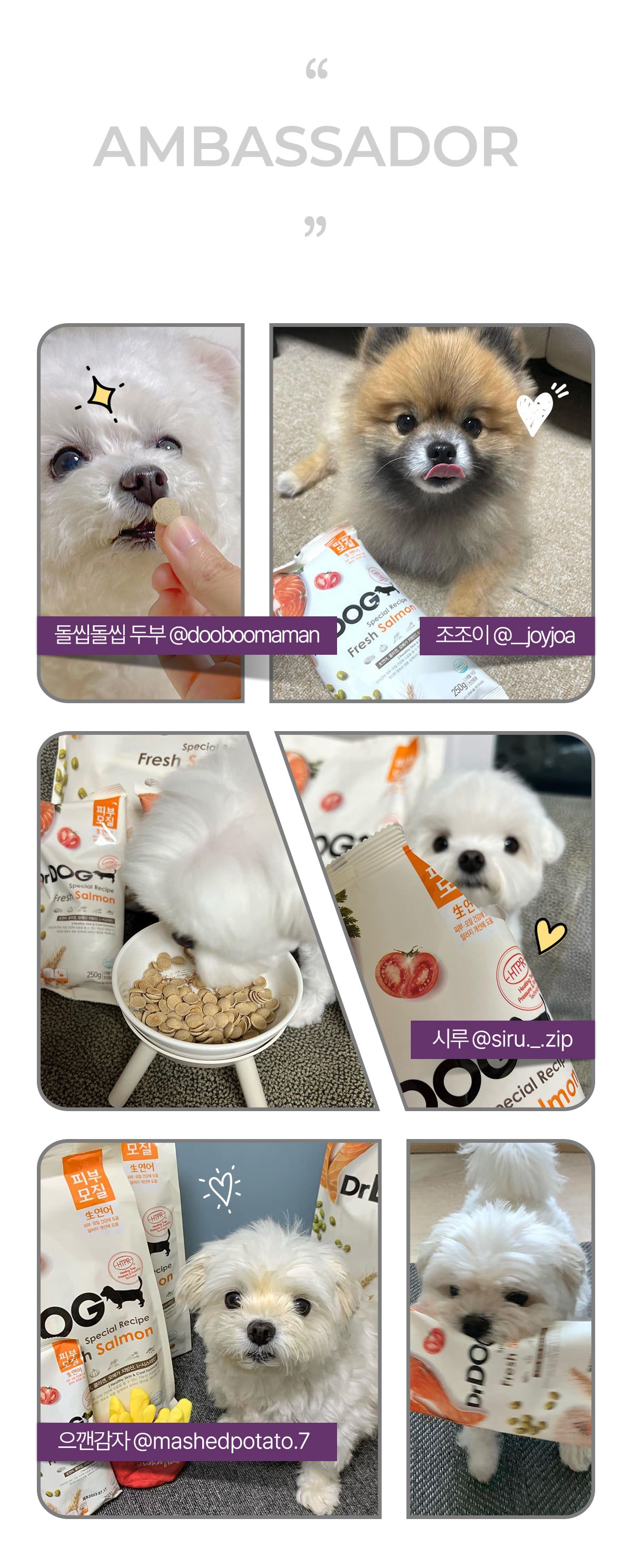 [사료샘플] 닥터독 시니어 사료 250g 15번째