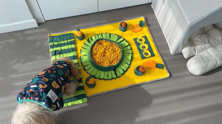 [체험단][무료배송] 레토 독 당근밭 노즈워크 담요 대형 800x600 3번째