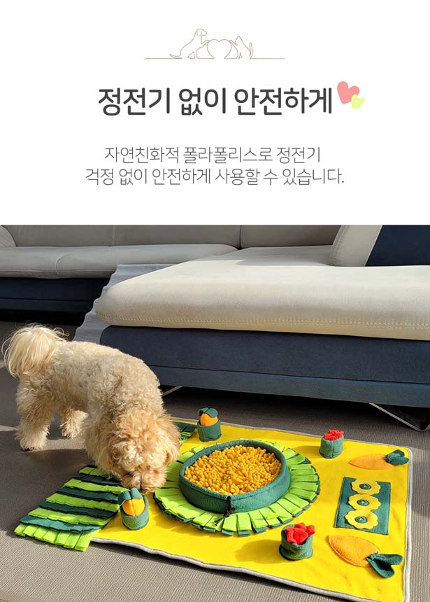 [체험단][무료배송] 레토 독 당근밭 노즈워크 담요 대형 800x600 9번째