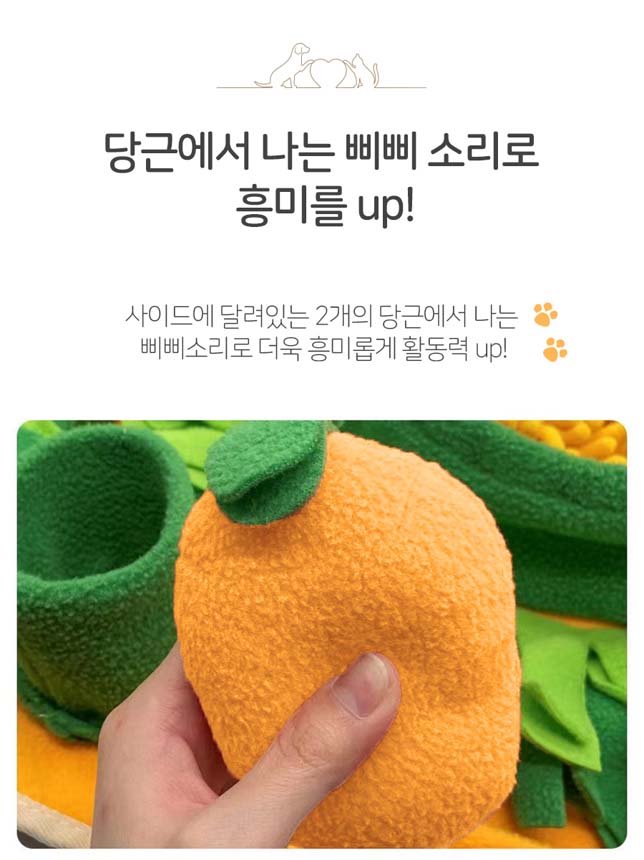 [체험단][무료배송] 레토 독 당근밭 노즈워크 담요 대형 800x600 10번째