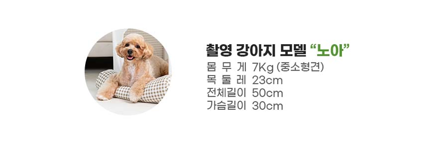 [체험단][무료배송] 레토 독 당근밭 노즈워크 담요 대형 800x600 2번째