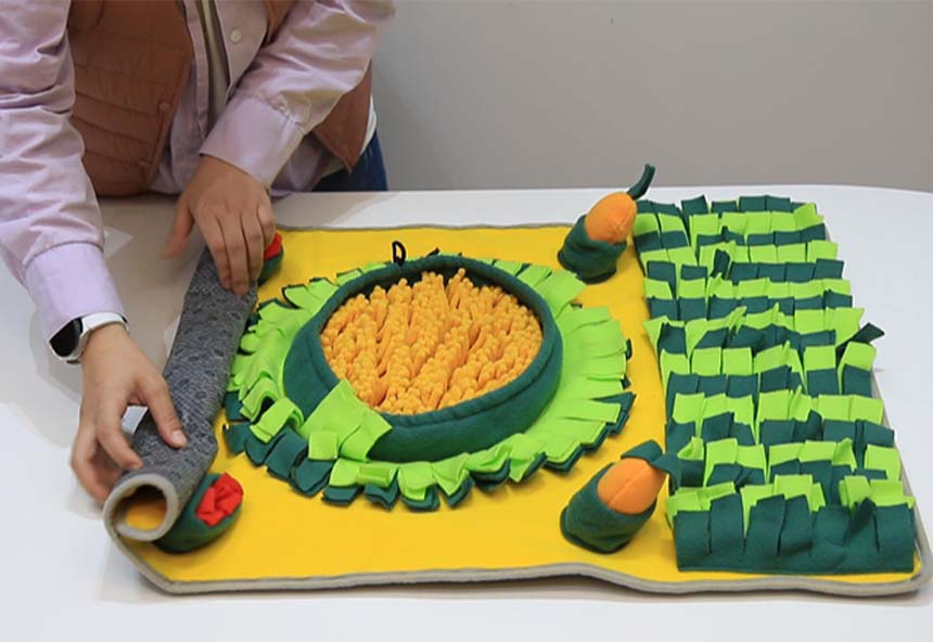 [체험단][무료배송] 레토 독 당근밭 노즈워크 담요 대형 800x600 14번째