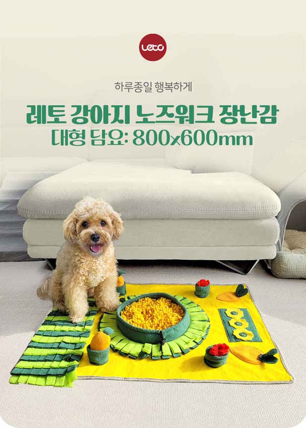 [체험단][무료배송] 레토 독 당근밭 노즈워크 담요 대형 800x600 1번째