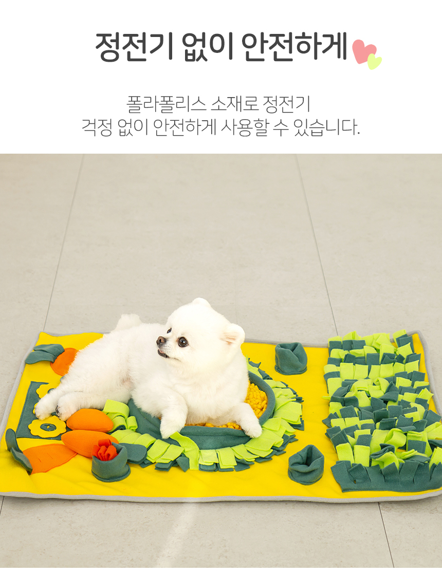 [무료배송] 레토 독 당근밭 노즈워크 담요 대형 800x600 9번째