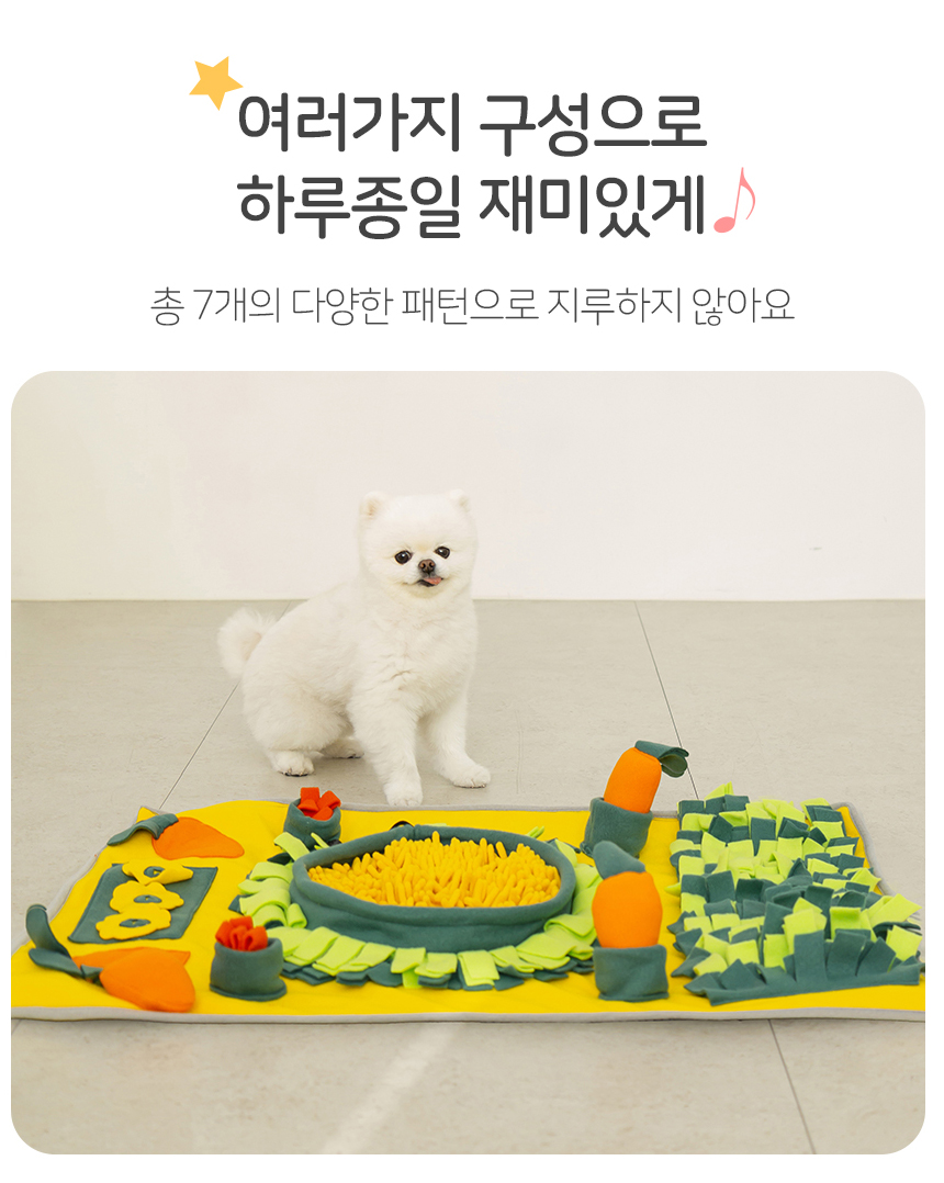 [무료배송] 레토 독 당근밭 노즈워크 담요 대형 800x600 12번째