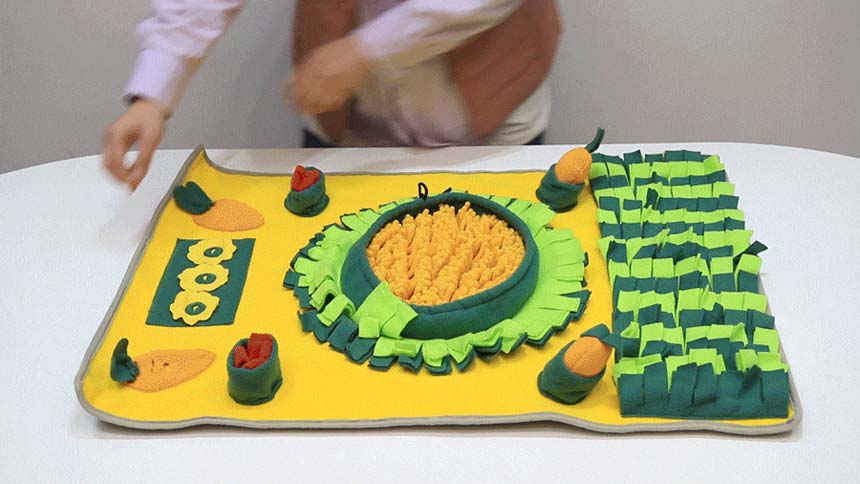 [체험단][무료배송] 레토 독 당근밭 노즈워크 담요 대형 800x600 13번째