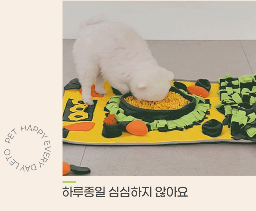 [무료배송] 레토 독 당근밭 노즈워크 담요 대형 800x600 3번째
