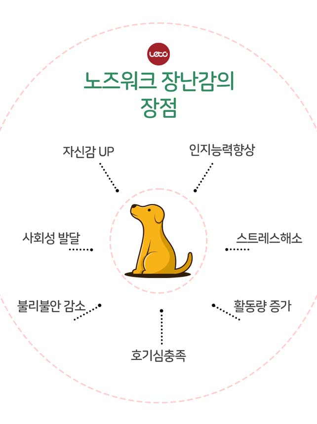 [체험단][무료배송] 레토 독 당근밭 노즈워크 담요 대형 800x600 6번째