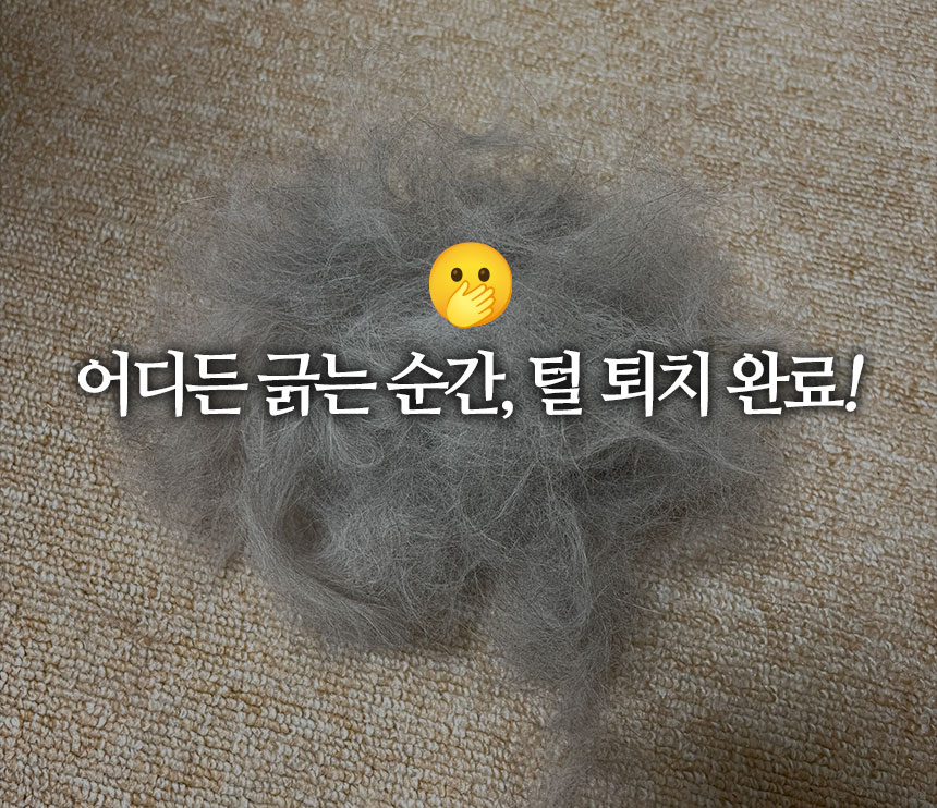 [NEW신상][무료배송] 펫펍 쓱싹스크래퍼 고양이털 강아지털 제거기 클리너 8번째