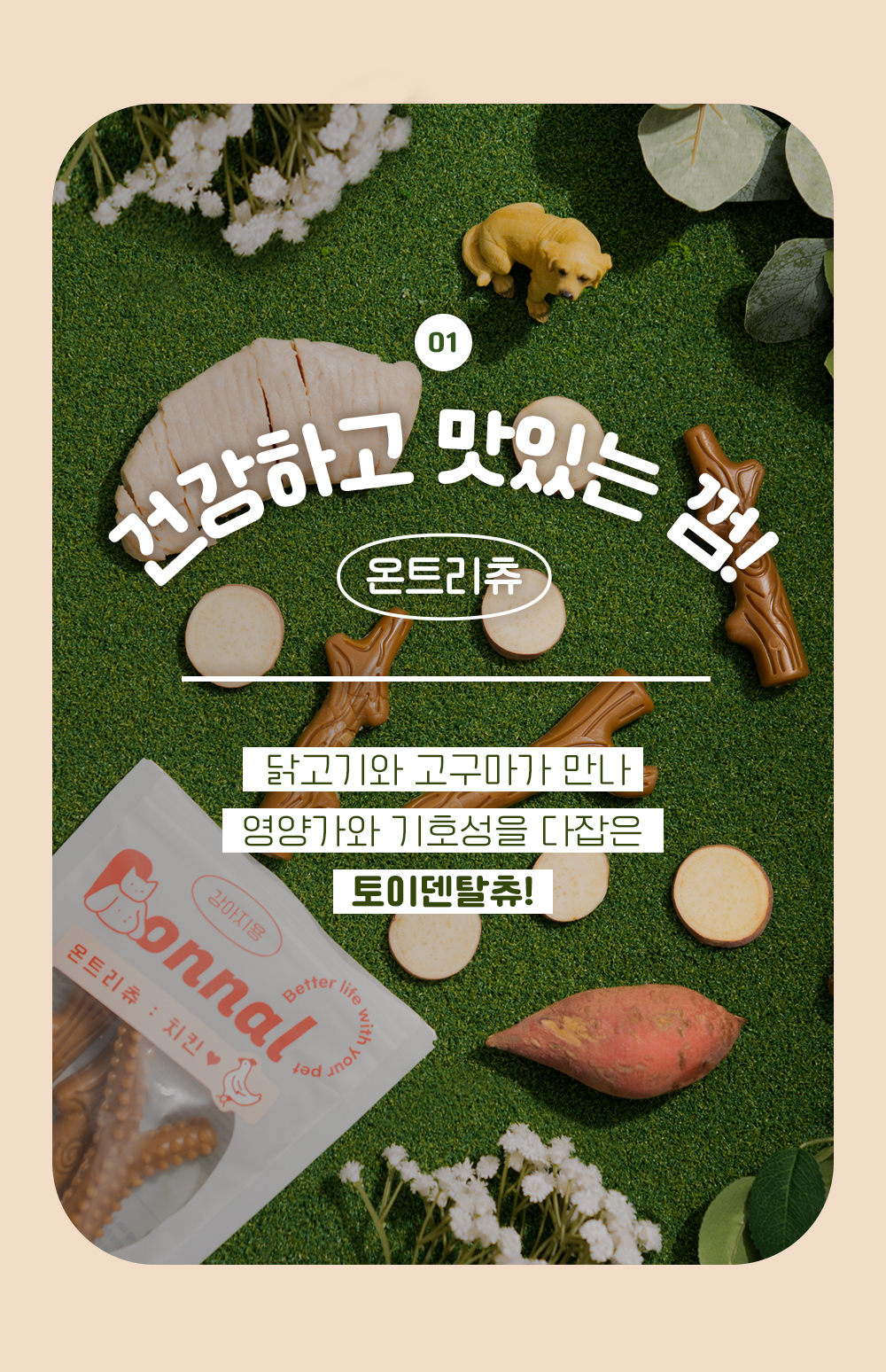 [무료배송] 온날 독 온트리츄 치킨 230g 3번째