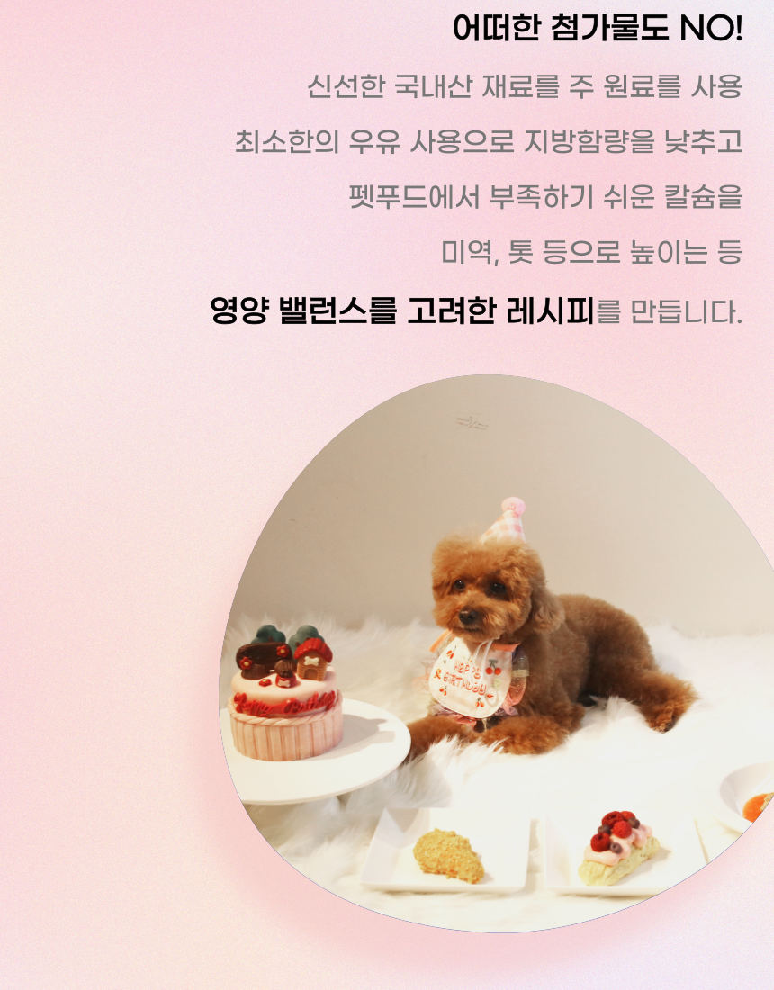 [NEW신상][무료배송] 견우재 강아지 죽 7종 스튜 화식 건강식 보양식 13번째