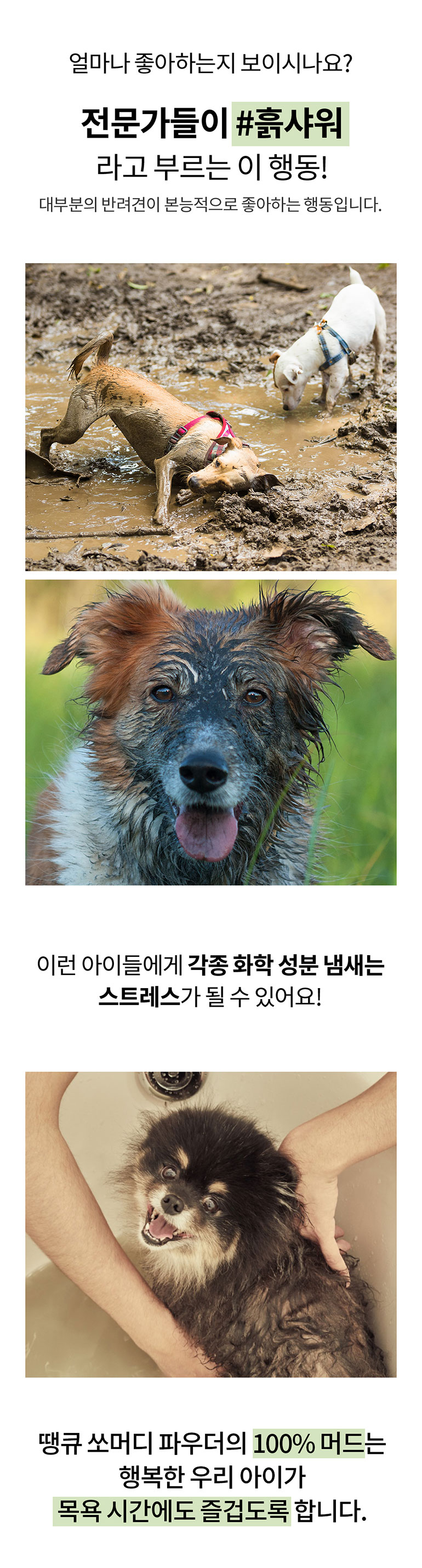 [무료배송] 머디 땡큐 쏘 머디 파우더 350g 8번째