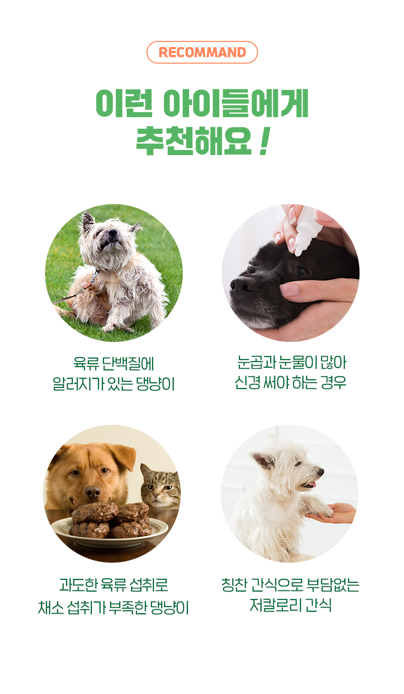 [NEW신상][무료배송] 뉴알엑스 베지터블 보스웰리아 100g 6번째