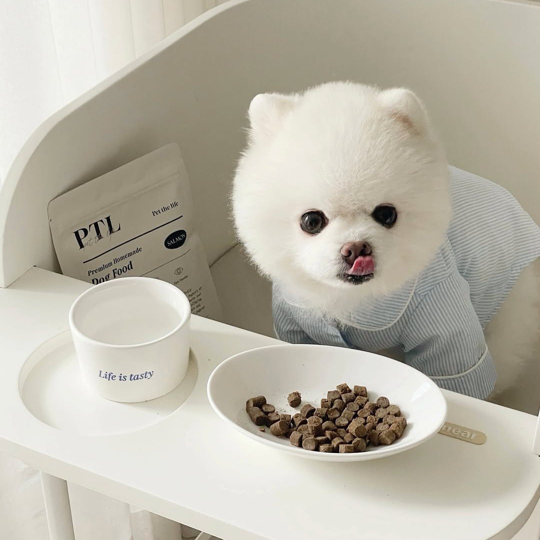 펫더라이프 시그니처 눈물 케어 솔루션 수제사료 제품