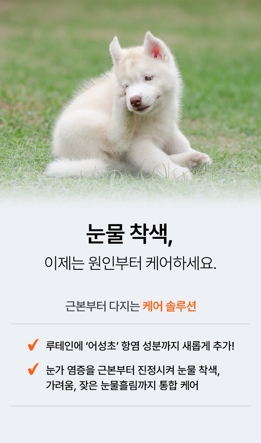 [NEW신상][무료배송] 펫더라이프 시그니처 눈물 케어 솔루션 수제사료 1kg 29번째