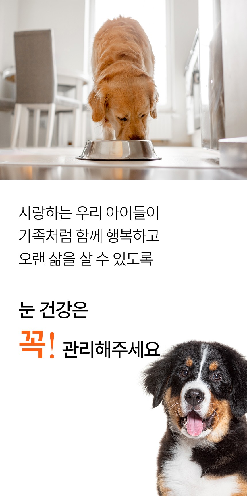 [NEW신상][무료배송] 펫더라이프 시그니처 눈물 케어 솔루션 수제사료 1kg 35번째