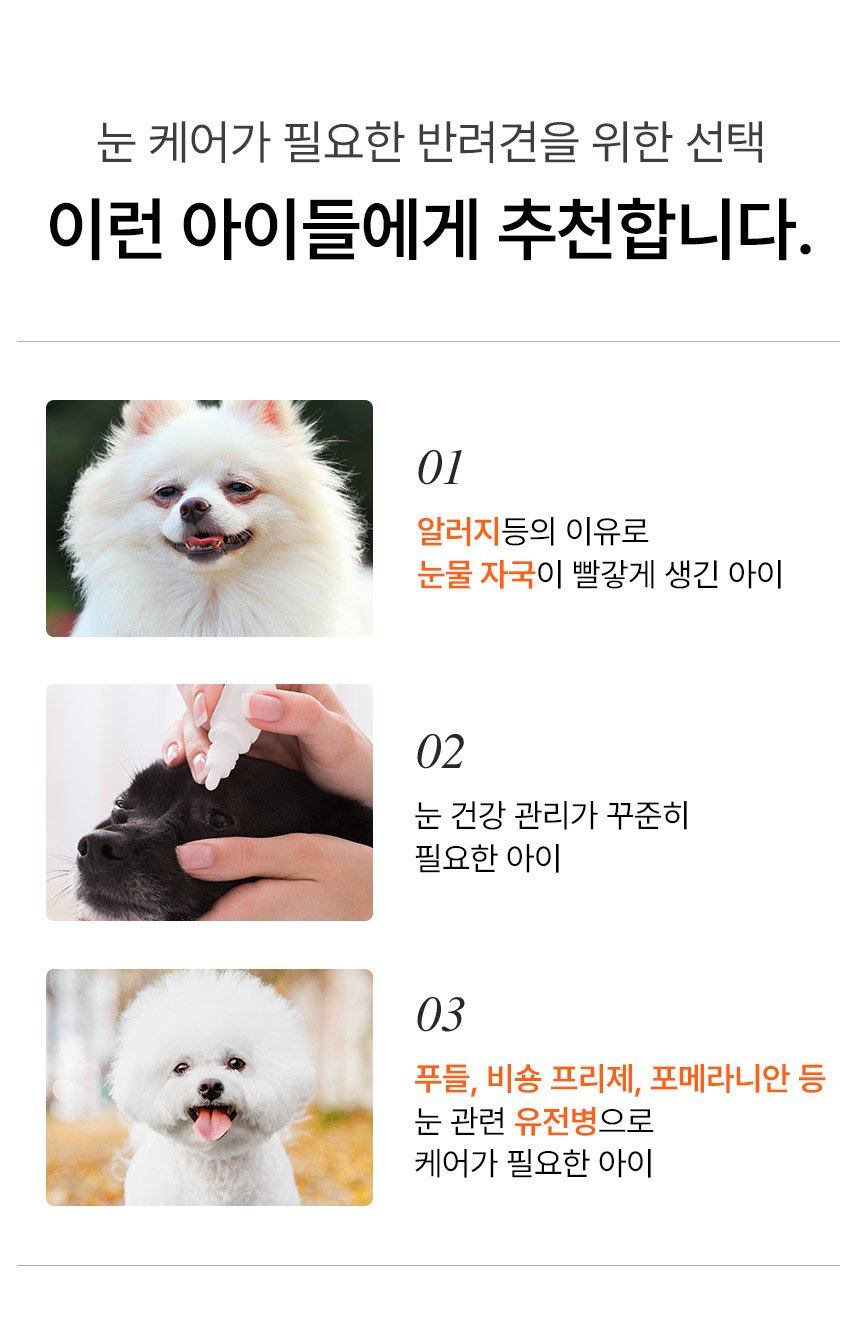 [NEW신상][무료배송] 펫더라이프 시그니처 눈물 케어 솔루션 수제사료 1kg 11번째