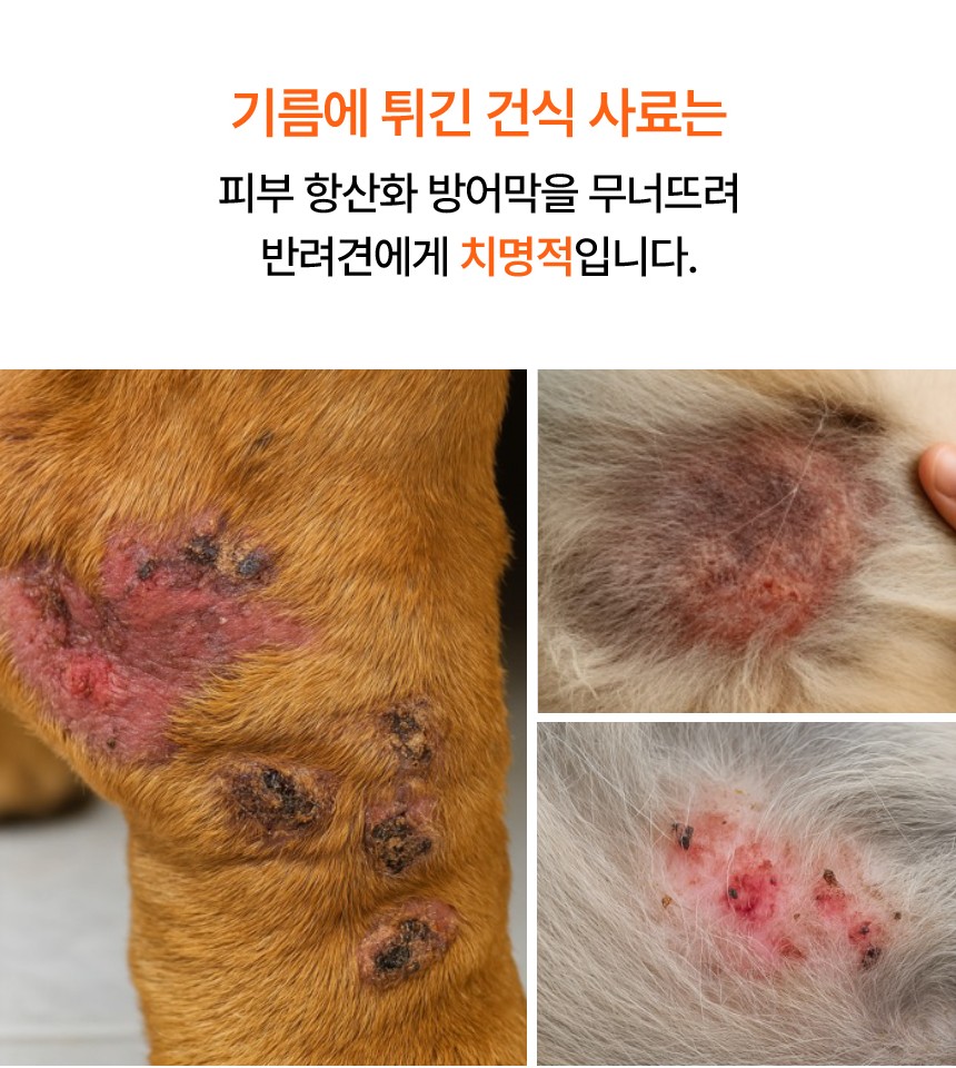 [NEW신상][무료배송] 펫더라이프 시그니처 눈물 케어 솔루션 수제사료 1kg 22번째