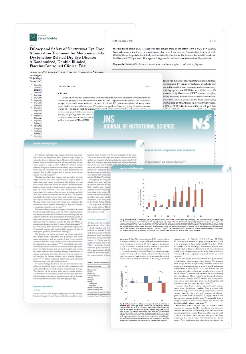 [NEW신상][무료배송] 펫더라이프 시그니처 눈물 케어 솔루션 수제사료 1kg 28번째