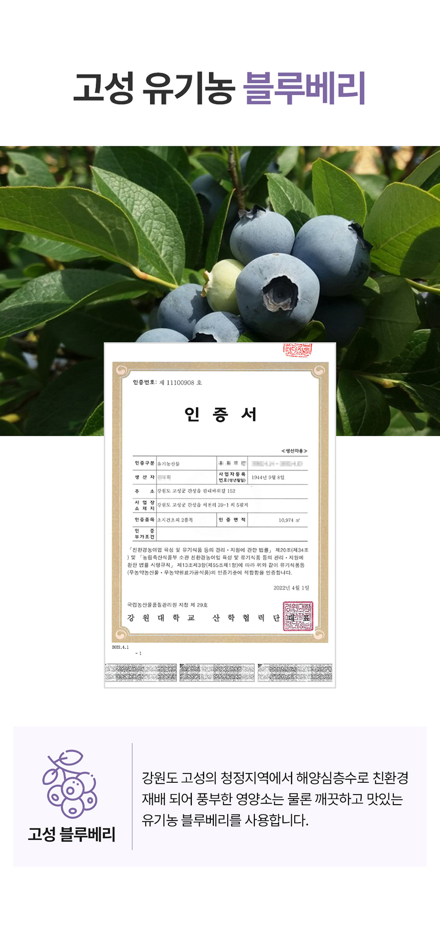 [무료배송] 라잇띵크펫 오리지널 산양유 동결건조 오메가3 트릿 블루베리 31번째