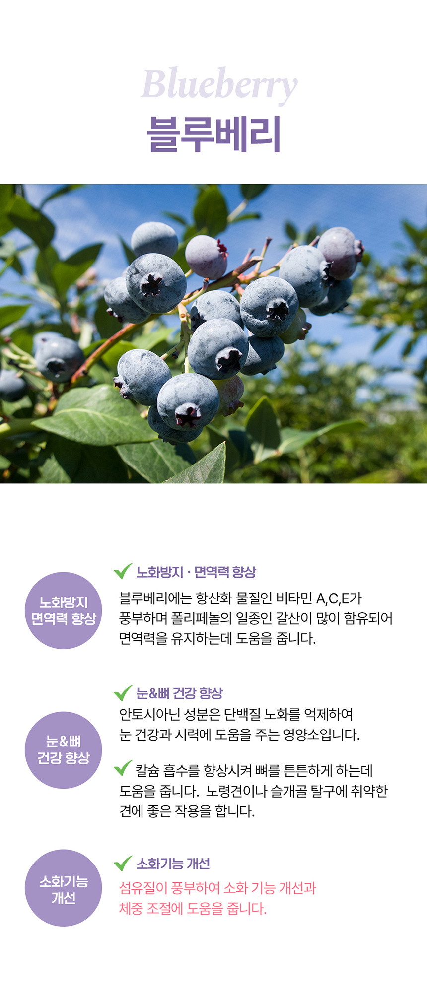 [무료배송] 라잇띵크펫 오리지널 산양유 동결건조 오메가3 트릿 블루베리 21번째