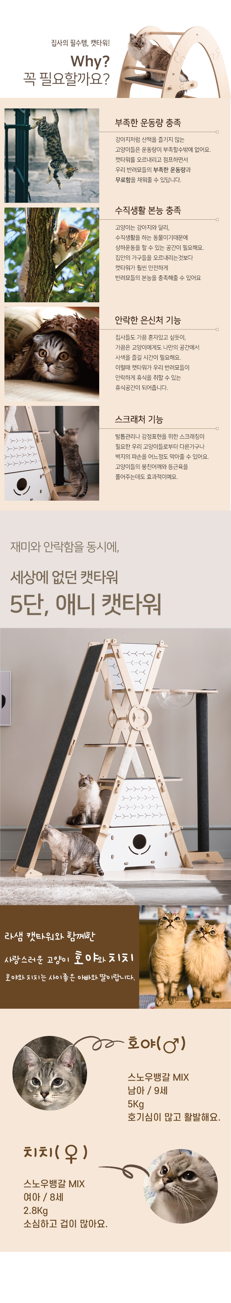 [무료배송] 모넬로 자작나무 원목 애니5단 고양이 캣타워 풀세트 GOCT1971 3번째