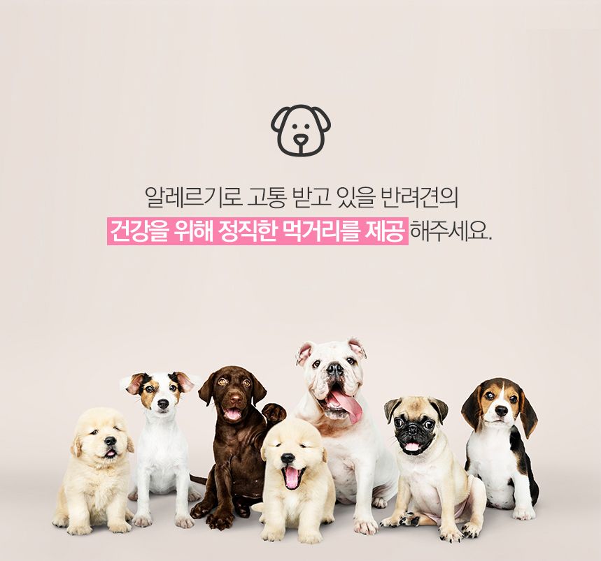 마이펫닥터 독 시그니쳐 오가닉 스킨 컨트롤 2kg 1번째
