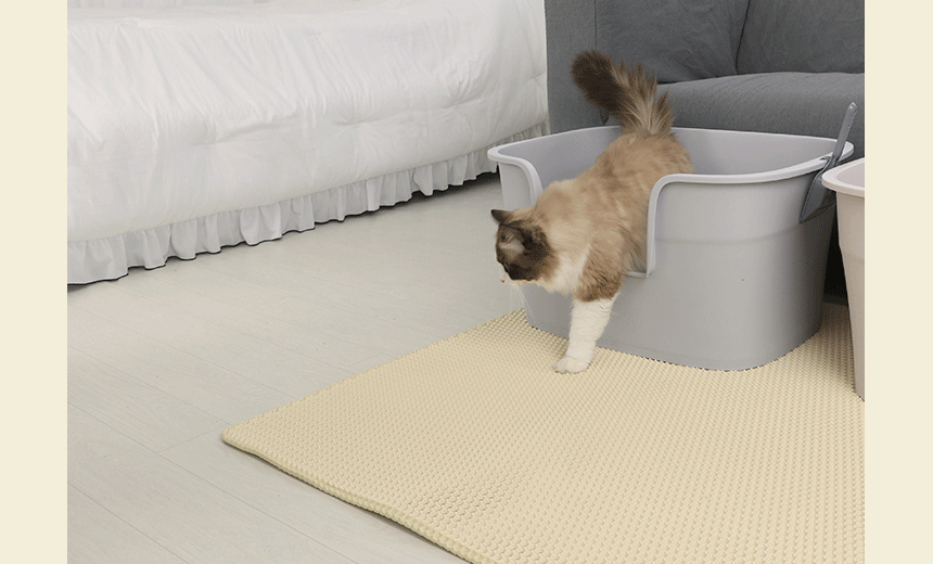 [무료배송] 펫토리아 굿바이 사막화 고양이 화장실 모래 매트 2size 10번째