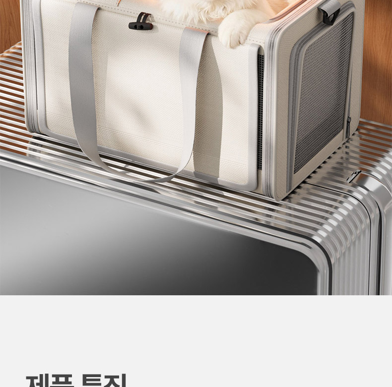 [NEW신상][무료배송] 펫볼루션 대용량 접이식 외출 휴대용 보온 겨울 이동장 2번째