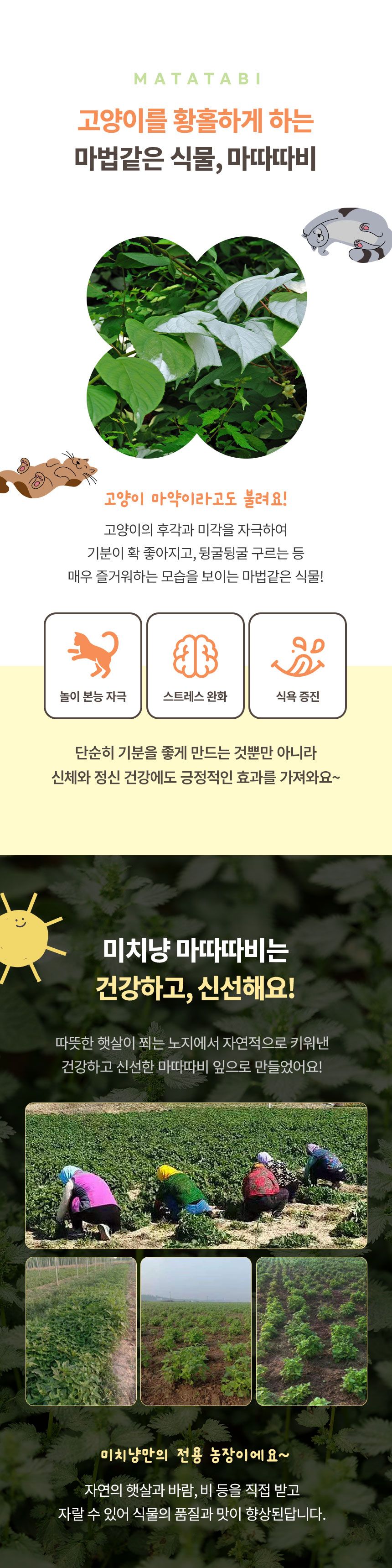 [무료배송] 크레용펫 캣 미치냥 대왕 마따따비볼 M-L 7번째