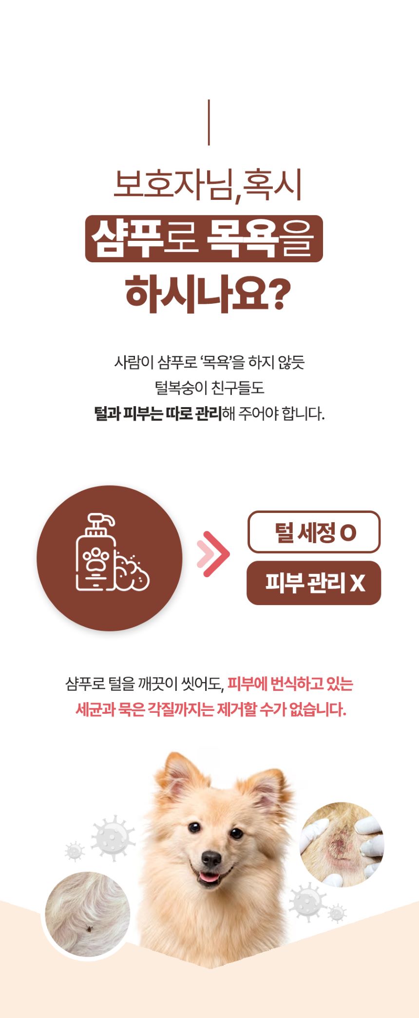[무료배송] 올더퍼리 독 어반 그리너리 컴포팅 스파 샴푸 300ml 4번째