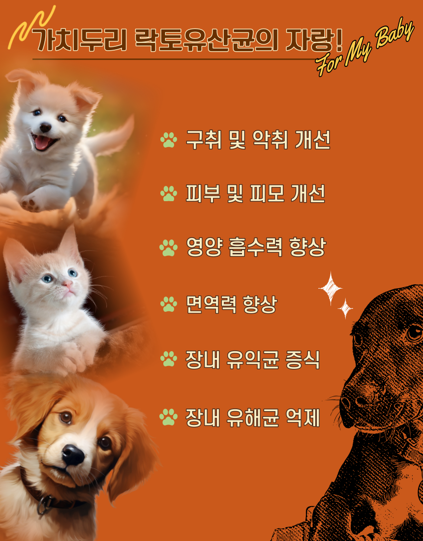 [무료배송] 가치두리 락토 생 유산균 액상 100ml 4번째