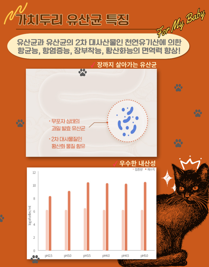 [무료배송] 가치두리 락토 생 유산균 액상 100ml 3번째