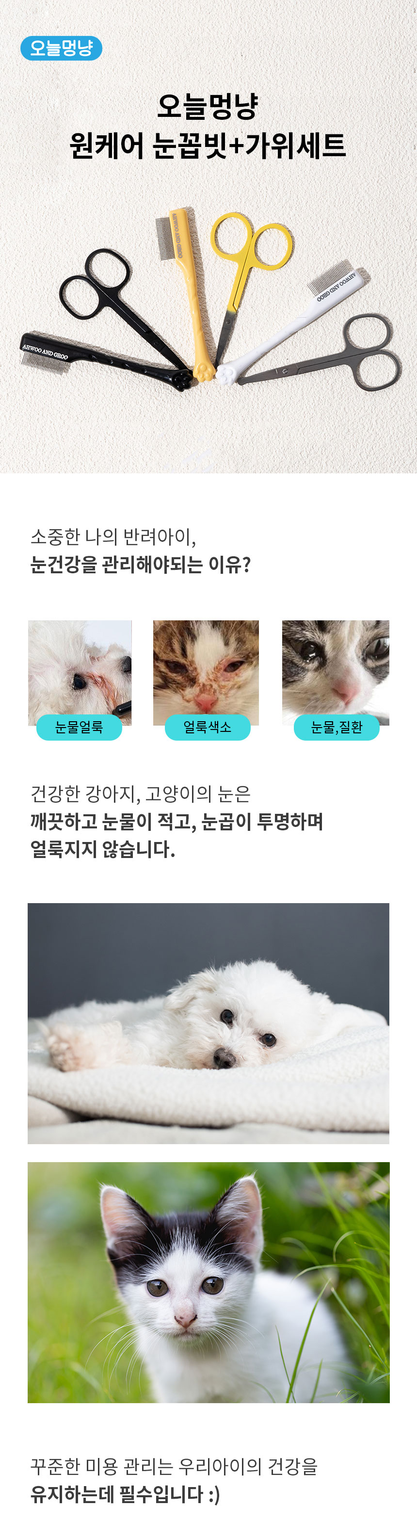 [NEW신상][무료배송] 오늘멍냥 강아지 고양이 눈꼽빗+미용가위 세트 1번째