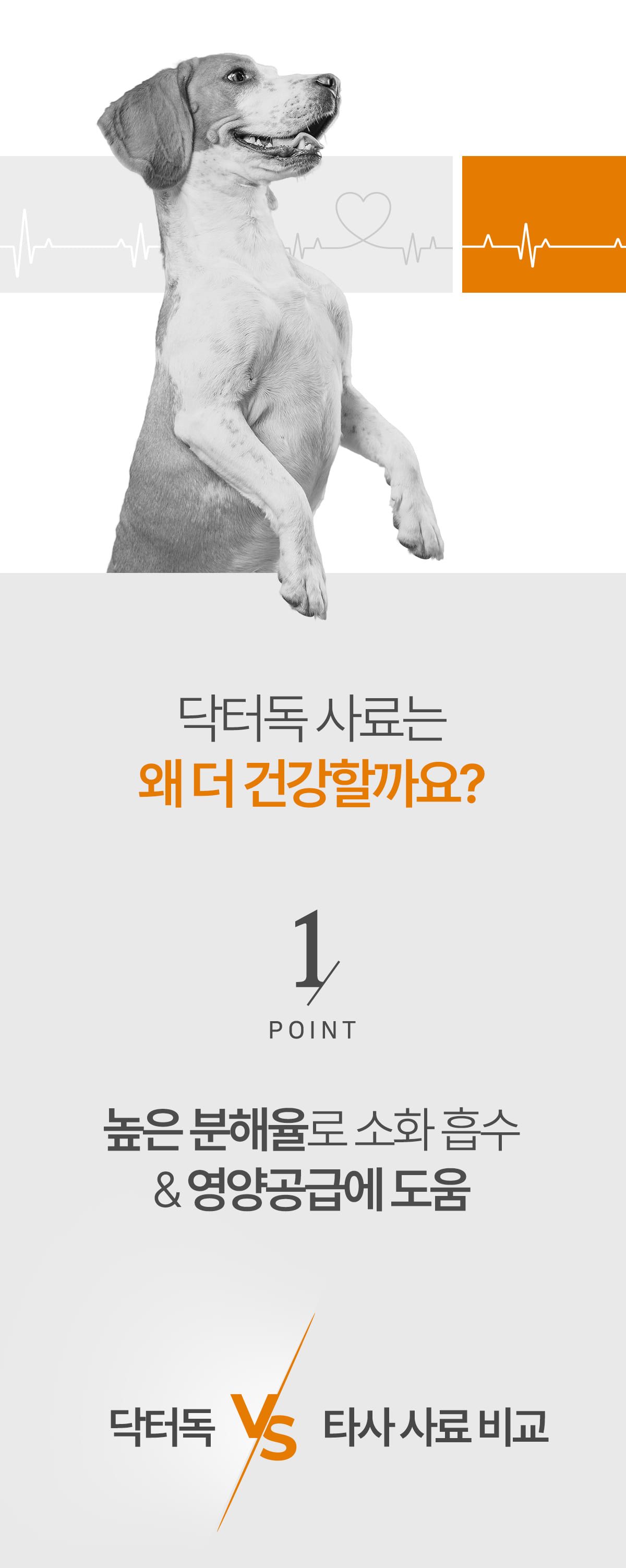 [사료샘플] 닥터독 피부모질 사료 250g 7번째