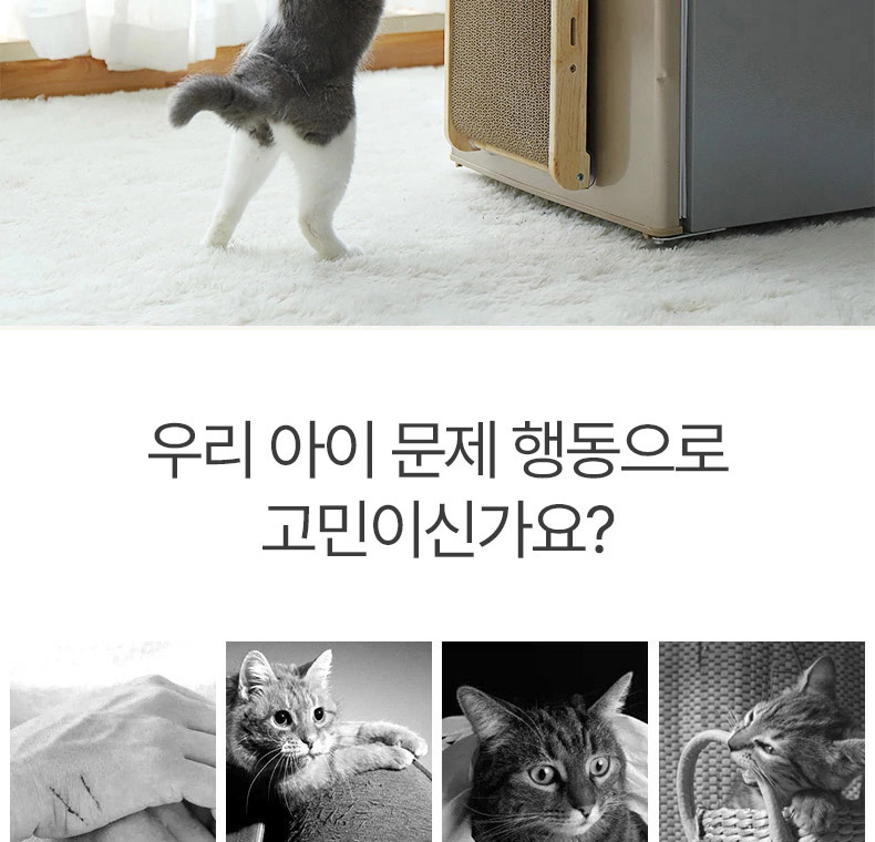 [NEW신상][무료배송] 펫볼루션 캣 흡착식 세로형 스크래쳐 (본품/리필) 3번째
