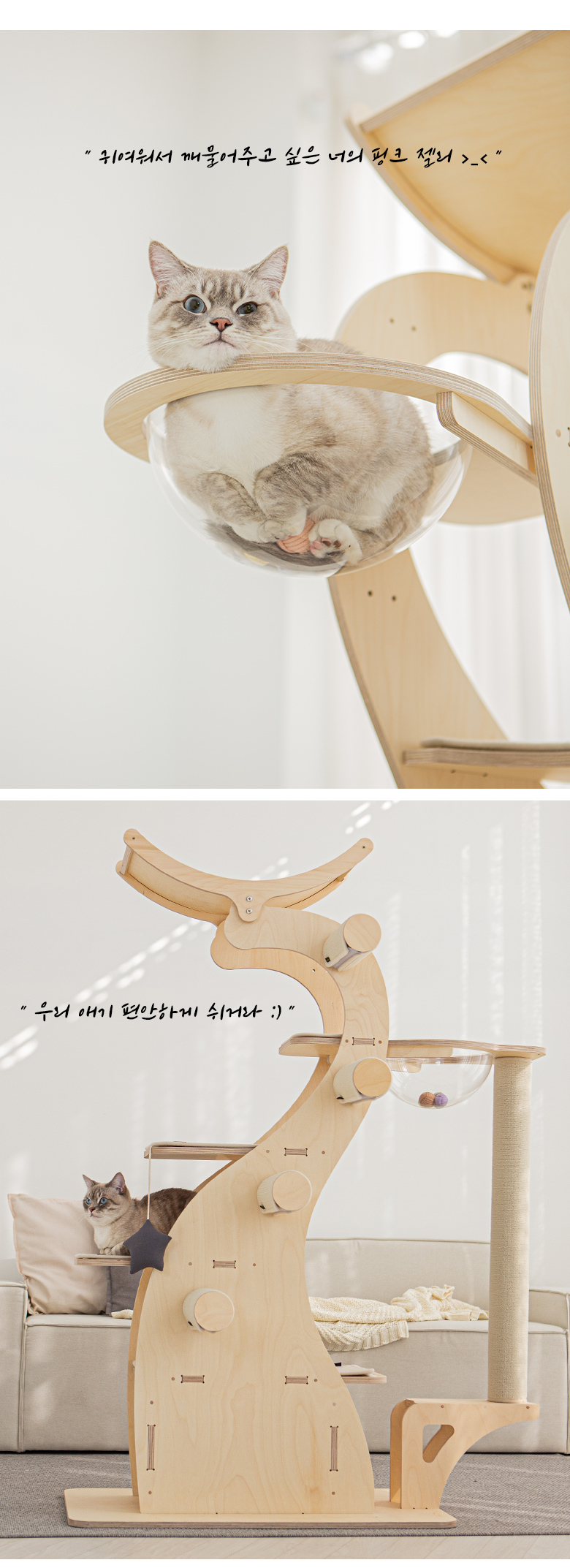 [무료배송] 모넬로 원목 대형 캣타워 다이노 일반형 GO23112 31번째