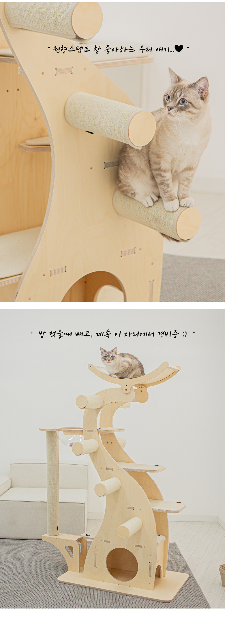 [무료배송] 모넬로 원목 대형 캣타워 다이노 일반형 GO23112 32번째
