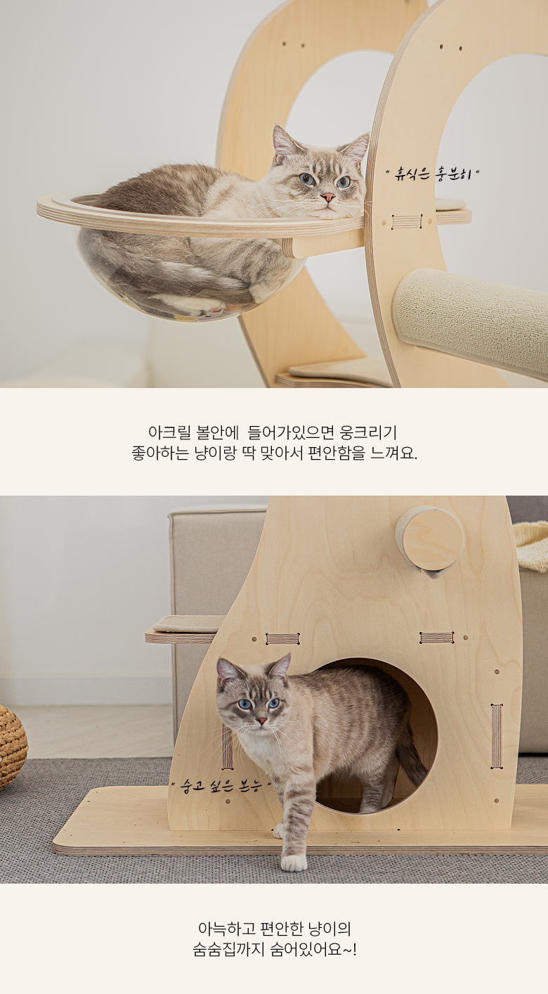 [무료배송] 모넬로 원목 대형 캣타워 다이노 일반형 GO23112 18번째