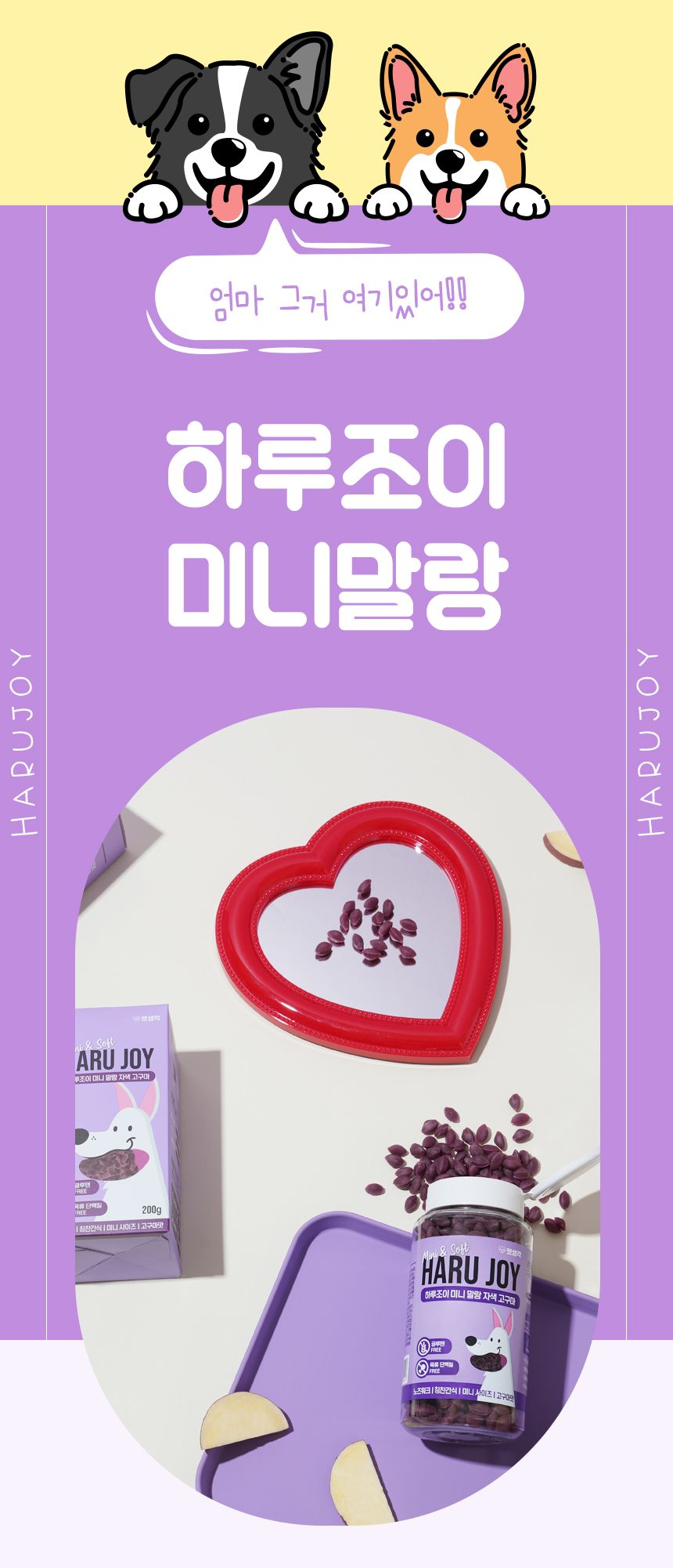 [심쿵펫페어]펫생각 독 하루조이 미니말랑 자색고구마 200g (700알) 2번째