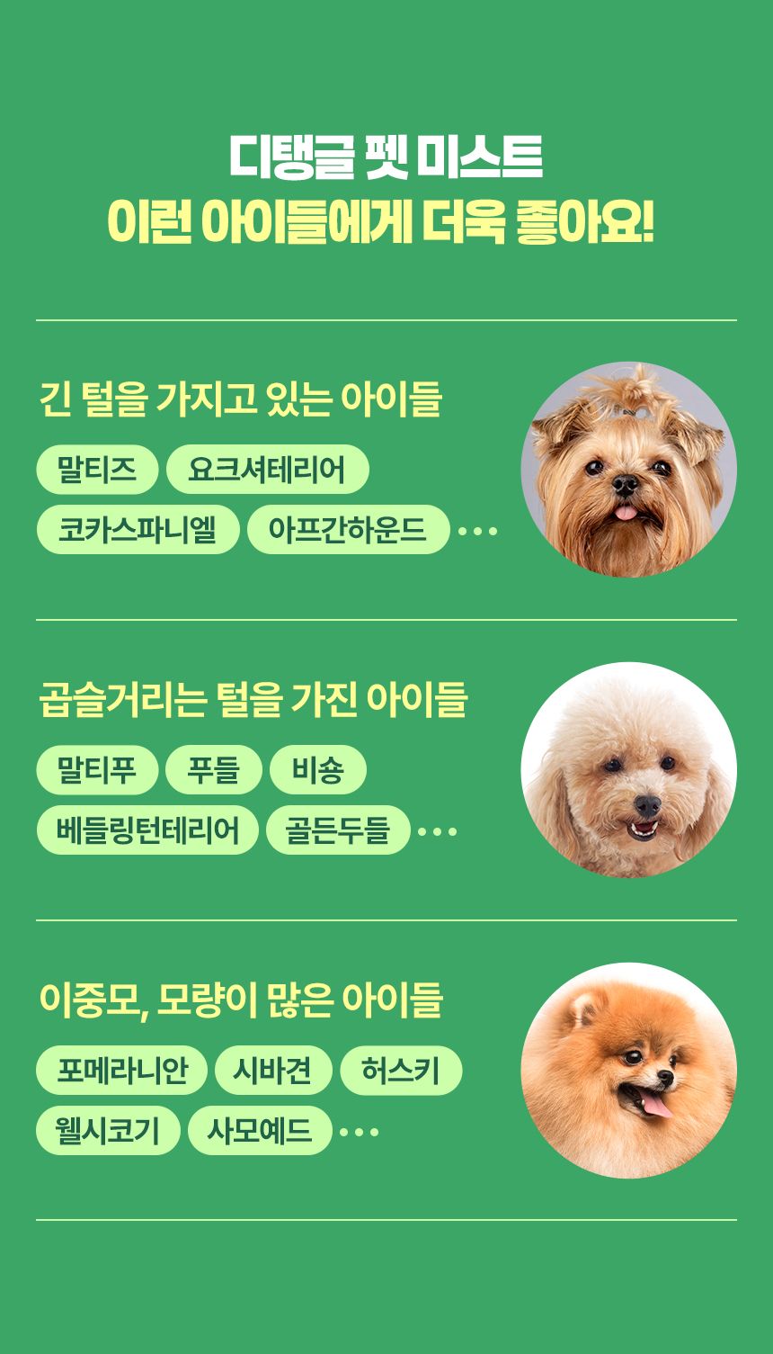 [NEW신상]펫생각 데일리케얼 디탱글 미스트 150ml 7번째